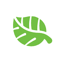 Fulda University of Applied Sciences logosu