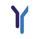Rhine-Waal University of Applied Sciences logosu
